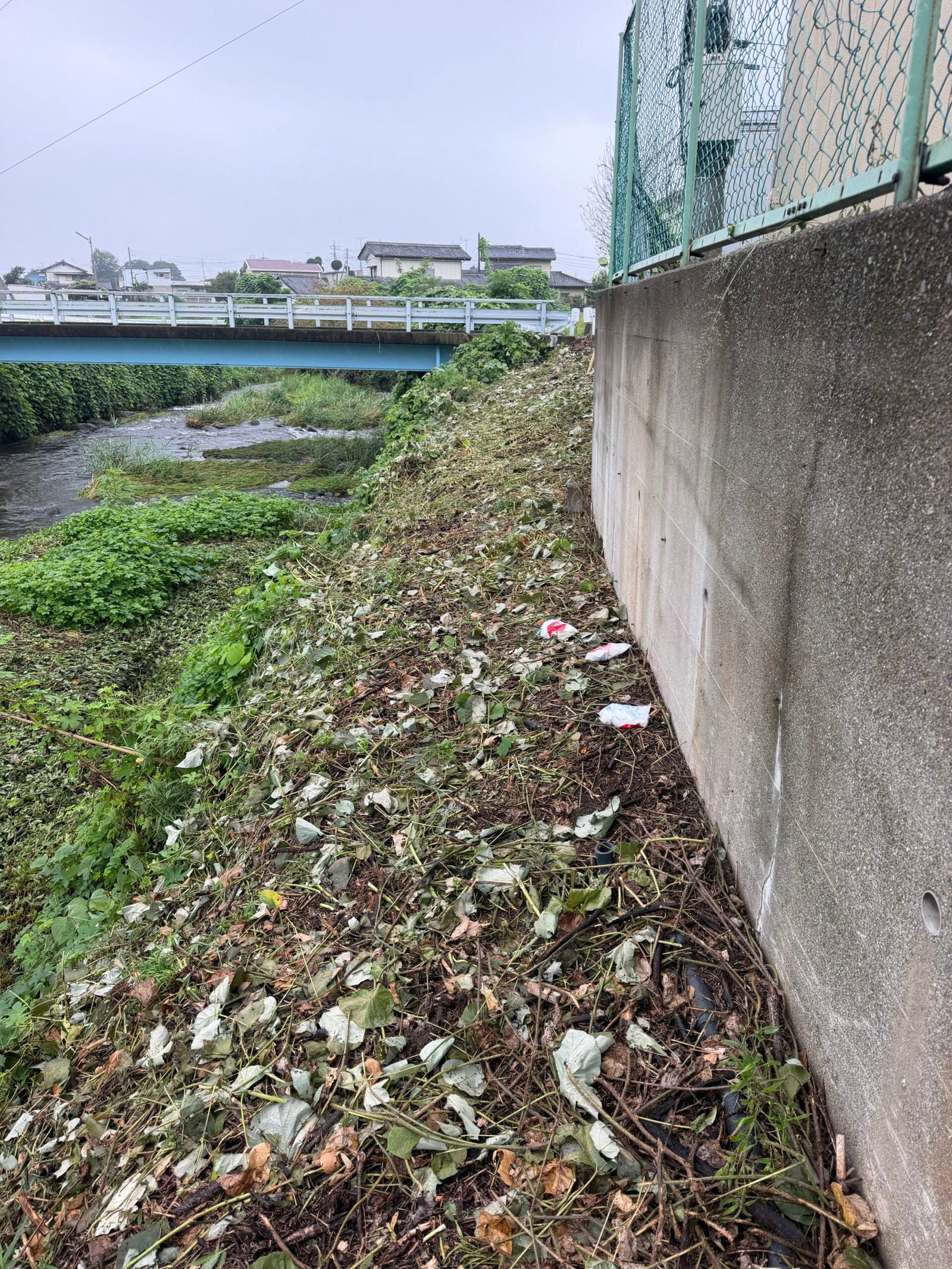 店舗敷地内を草刈りしてスッキリ！買取OKの日常と環境整備